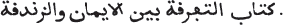 Image30