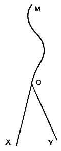 Image2