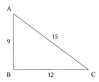 Image16