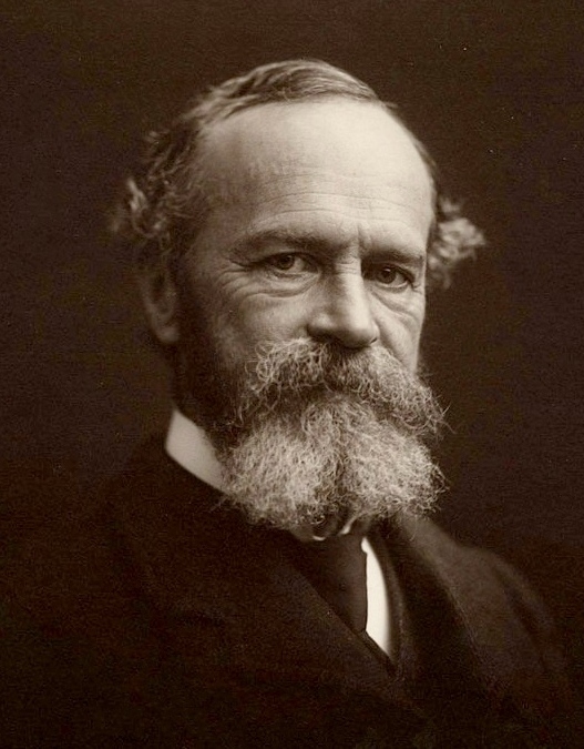 Image1