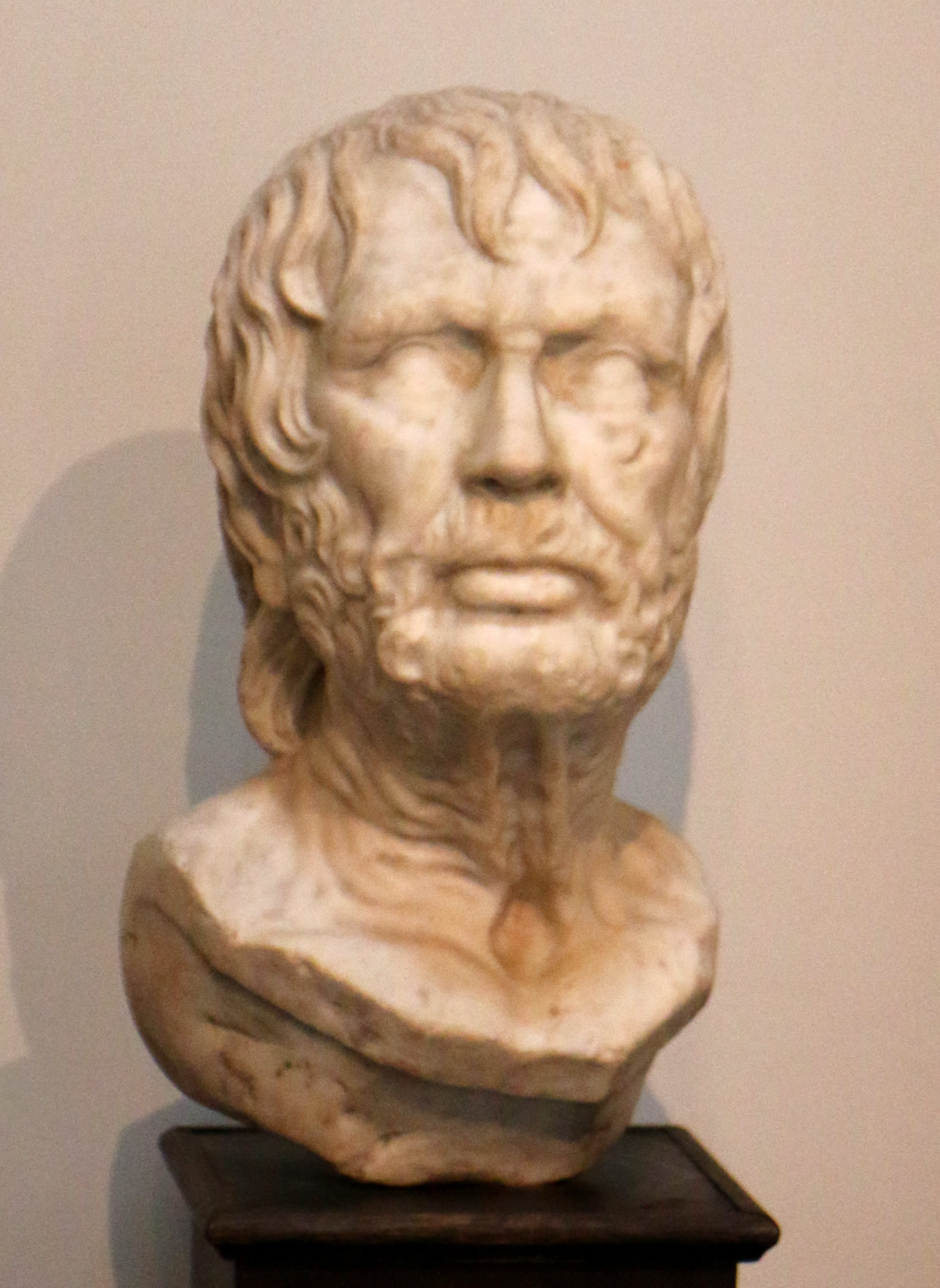 Image1