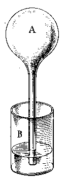 Image8