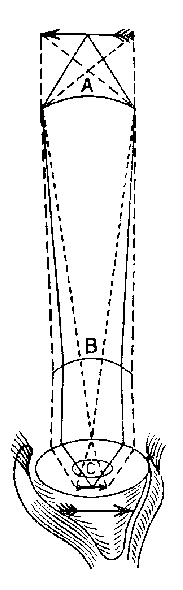 Image12
