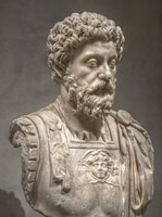portrait de l'auteur