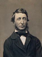 portrait de l'auteur
